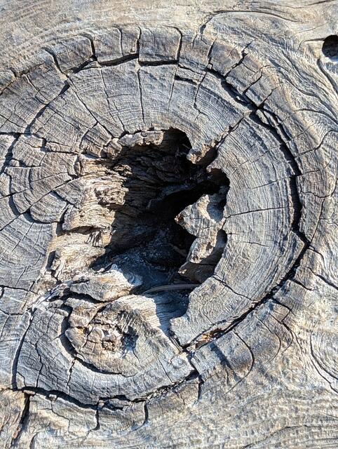 PXL 20241218 205249340